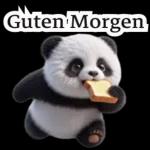 süße Panda❤️😍