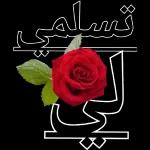 أنت
