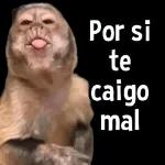 NO PASA NADA YA CAMATE