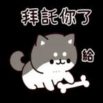 问问题： 柴犬的回答