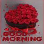 Te quiero muchísimo💗