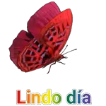 el mas bonito