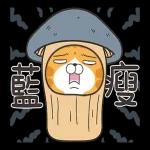 白爛貓51☆腦有動☆