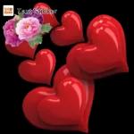 Text Sticker
