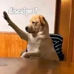 ta bueno pues