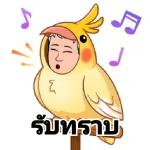 ดาวน์โหลดฟรี