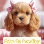 Snoopy 