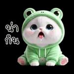 ข้าวต้ม ชุดกบ หน้าบูด