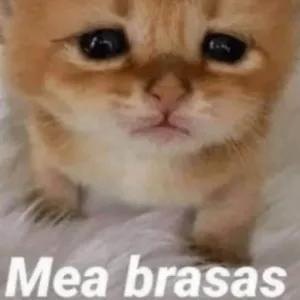 FvBsDz