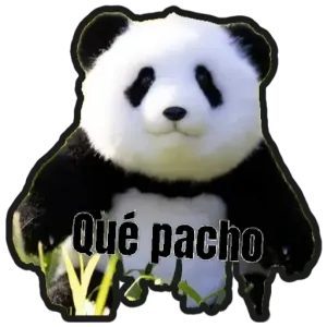 I4ZBG9