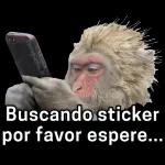  por favor espere...