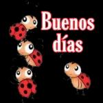 Excelente día a todos