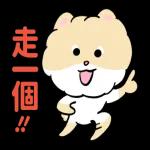 博美狗AB-不正经动起来