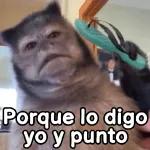 BUENOS DÍAS BUENOS DÍAS ¡BUENOS DÍAAAS!