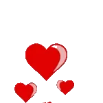 01.03الملصقات الموصى بها