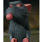 Ratatouille 