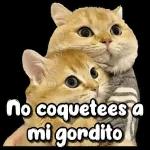 no coquetees a mi gordito