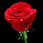 ما شعبان کی آمد مبارک