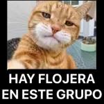  Quédecíaesemensaje?JHM