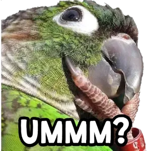 UMMM? - getsticker.com