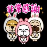 豆卡頻道-好運強強滾