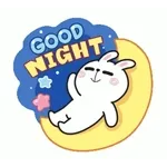 Duerme bien... 💤✨