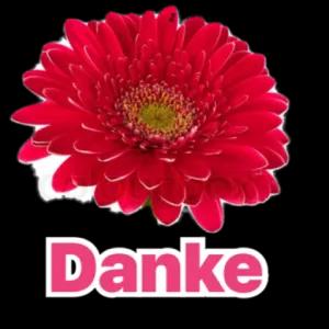 zienuK
