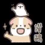 天竺鼠布丁～～超可愛鴨
