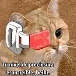 Me vale vergapuñetón, me valeverga, todo pendejo