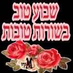 הכל טוב הכל טוב