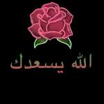 الله يسعدك
دنيا وآخره