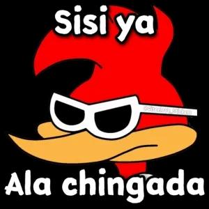 sisi ya @Giseelove Stickers Ala chingada - getsticker.com