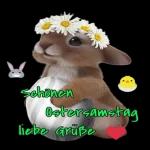 ʔ•̫͡•ʕ Häschen klein, ging allein