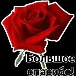 С Добрым Утром!