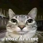 estoy cansada