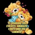 NO PUEDE SER