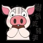 萌宠sticker 11161🥰