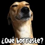 ¿Qué borraste?