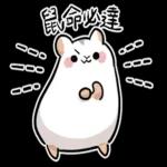 倉鼠慕吉-諧音鼠貼圖