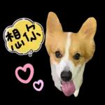 好想你❤️