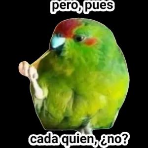 cFkn7K