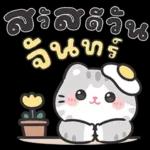 แมวมาร์คัส V.3 : HNY