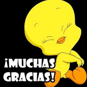 ¡Muchas gracias! - getsticker.com