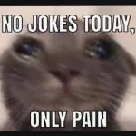 No jokes today, only pain