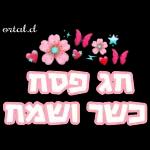 חג פסח שמח 🩷