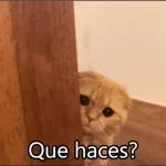 Esto se va a poner feo