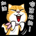 加油，你可以的，你是最棒的