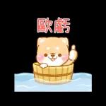 ♡療癒柴犬♡ 諧音梗貼圖