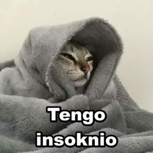 Tengo insomnio - getsticker.com