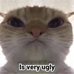 meme44